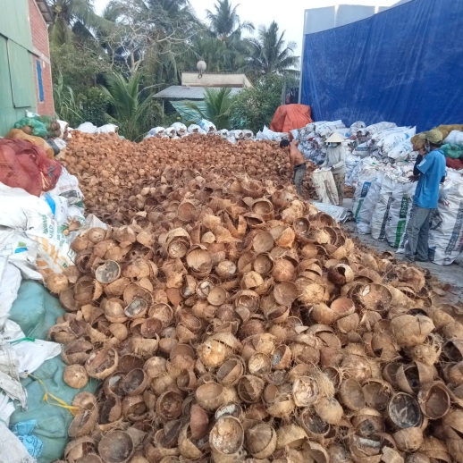 Công ty tnhh xuất nhập khẩu th true coconut 