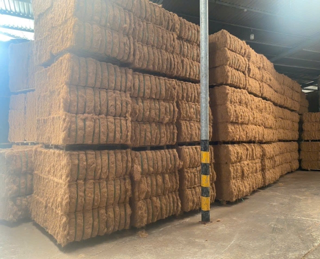 CÔNG TY TNHH XUẤT NHẬP KHẨU TH TRUE COCONUT