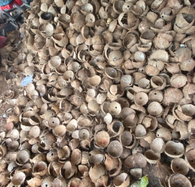 Gáo dừa các loại chuyên cung cấp đốt than, xuất khẩu...